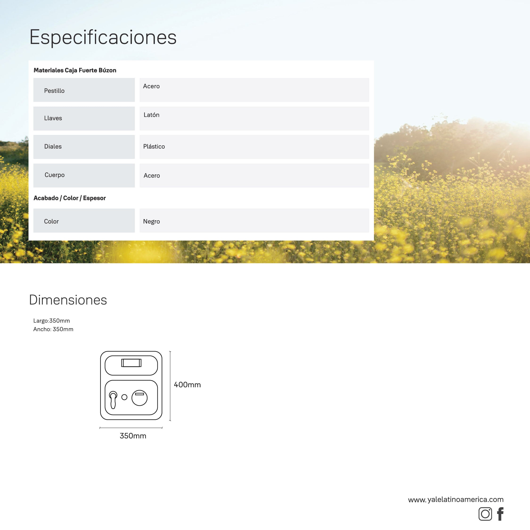 Caja Fuerte Buzón
