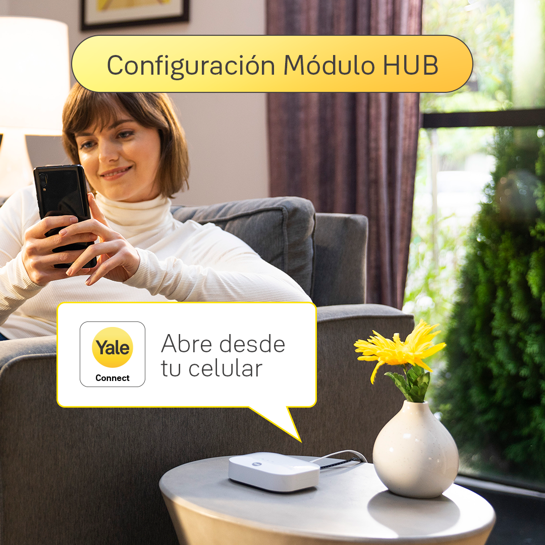 Configuración Módulo de conexión HUB*