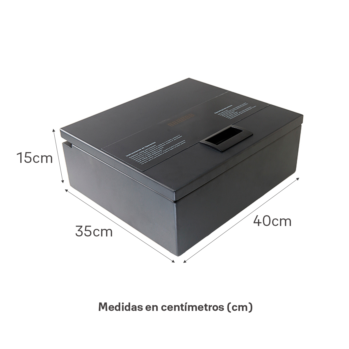 Caja Fuerte de Piso**
